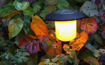 The Benefits of Solar Lighting