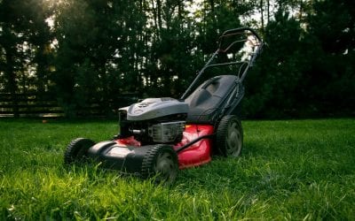 Spring Lawn Care in 7 Easy Steps