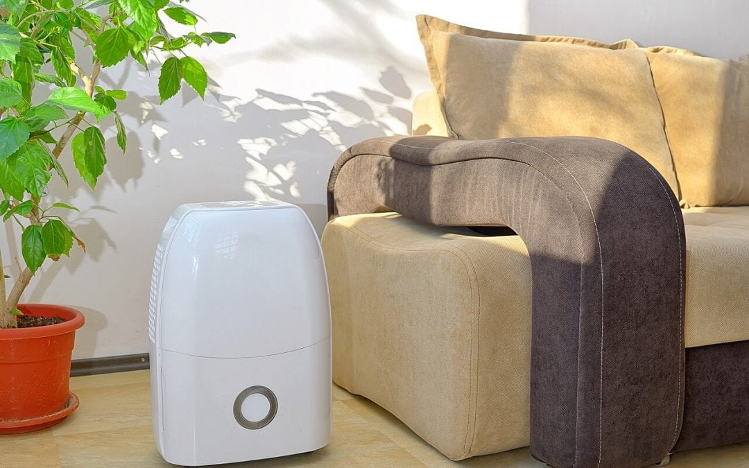 The Benefits and Types of Home Air Purifiers
